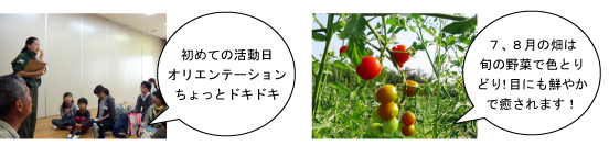 はたけの学校