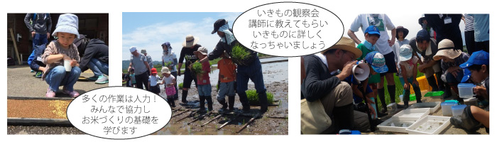 たんぼの学校初級コース