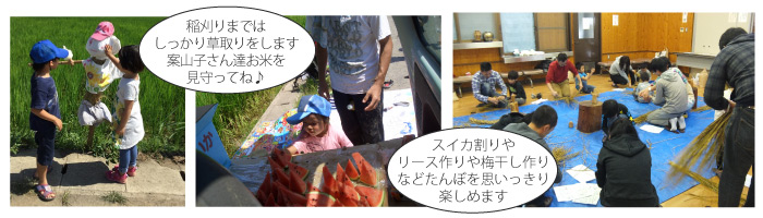 たんぼの学校初級コース
