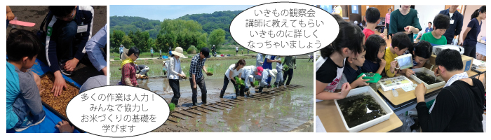 たんぼの学校初級コース