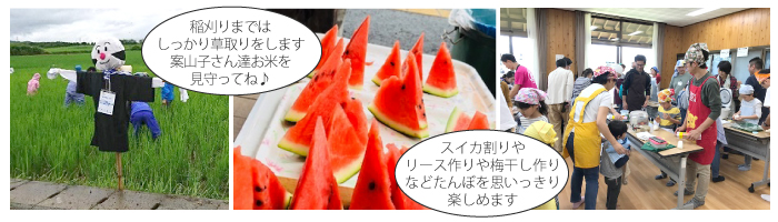 たんぼの学校初級コース