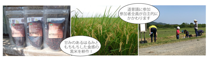 豊年倶楽部