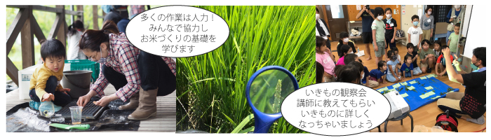 たんぼの学校初級コース
