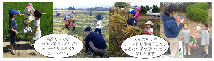 たんぼの学校初級コース