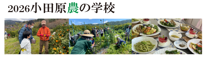 2026���c���_�̊w�Z�Q���ҕ�W