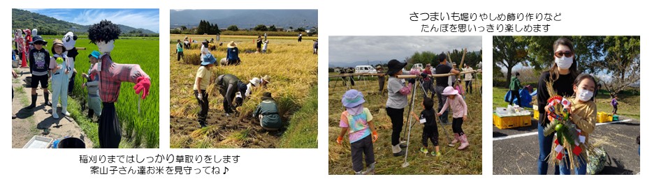 たんぼの学校初級コース