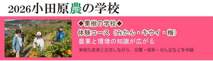 2025���c���_�̊w�Z�@�ʎ��̊w�Z�̌��R�[�X