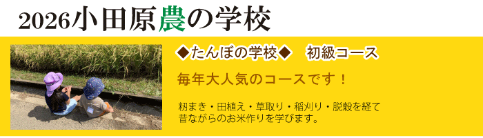 2025小田原農の学校 たんぼの学校初級コース