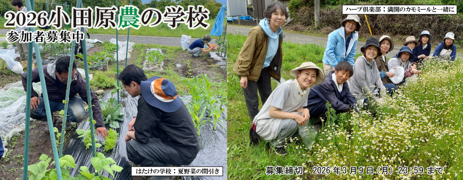 2026�N�_�̊w�Z�Q���ҕ�W