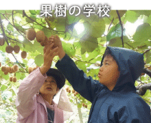 果樹の学校