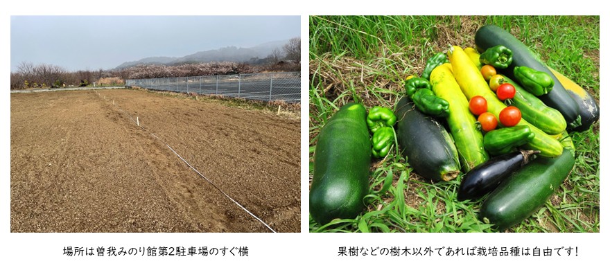 エコな貸農園ゆづきファーム