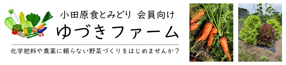 ���c���G�R�ȑݔ_����Â��t�@�[��